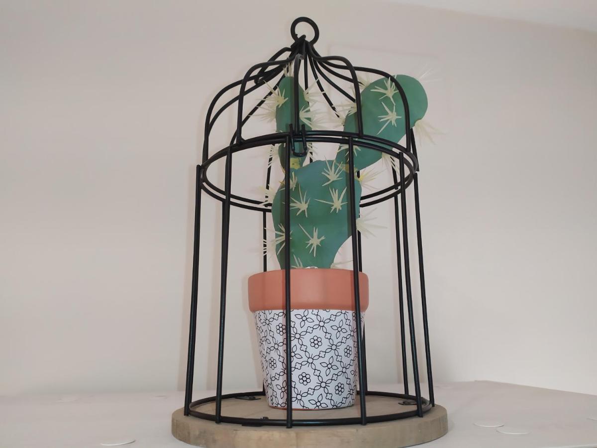 Apartamento La Union II , Calidad Y Comodidad 卡斯特利翁-德拉普拉纳 外观 照片